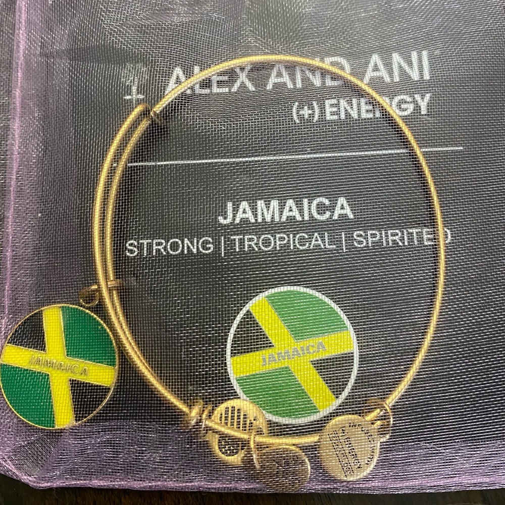 Alex and Ani New